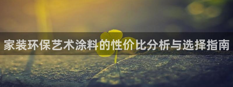 和记平台注册：家装环保艺术涂料的性价比分析与选择指南