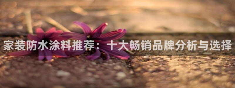 和记app官网登录：家装防水涂料推荐：十大畅销品牌分析与选择
