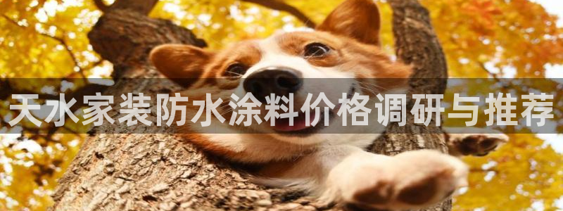 和记官方网站：天水家装防水涂料价格调研与推荐