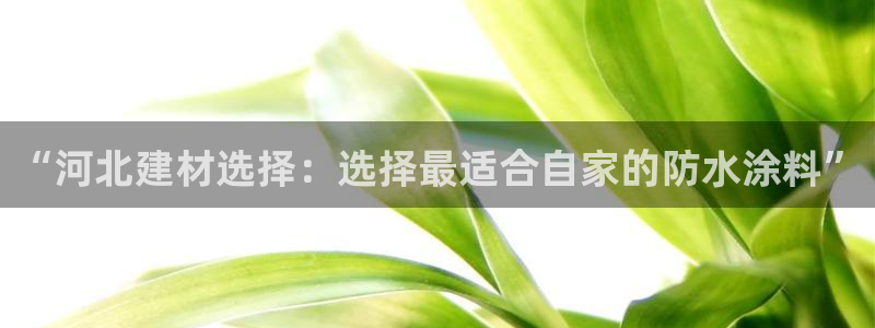 和记港口：“河北建材选择：选择最适合自家的防水涂料”