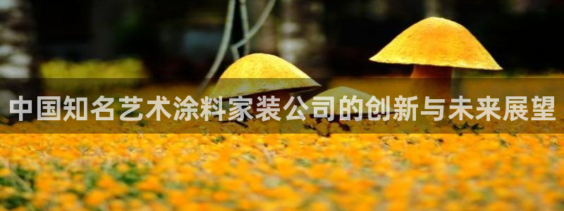和记AG：中国知名艺术涂料家装公司的创新与未来展望