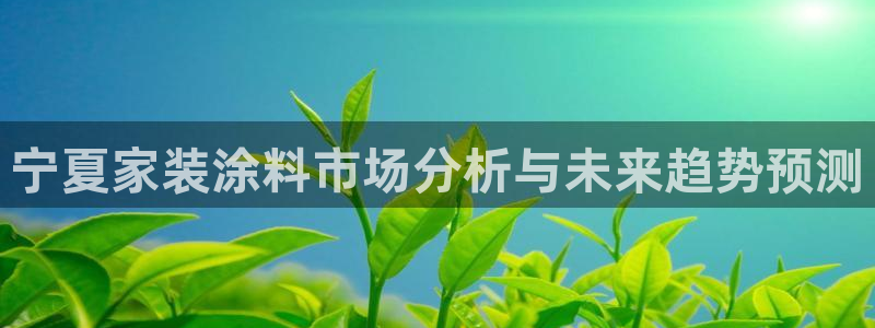 和记国际听：宁夏家装涂料市场分析与未来趋势预测