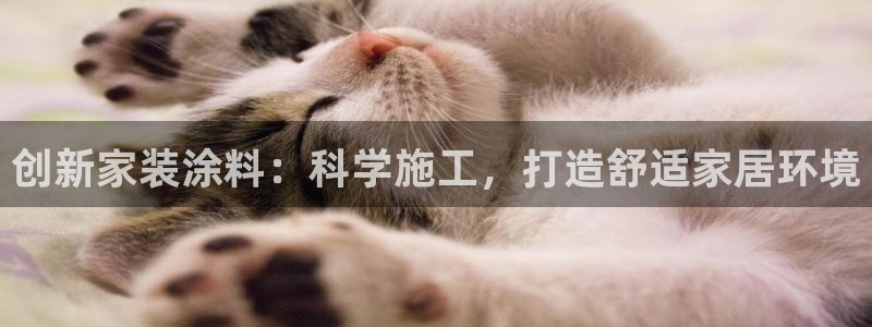 和记H88