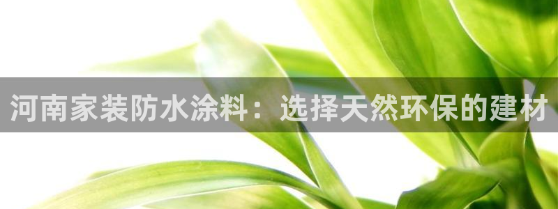 和记h88游戏：河南家装防水涂料：选择天然环保的建材