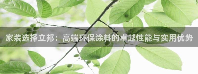 和记官网[中国]官方网站：家装选择立邦：高端环保涂料的卓越性能与实用优势