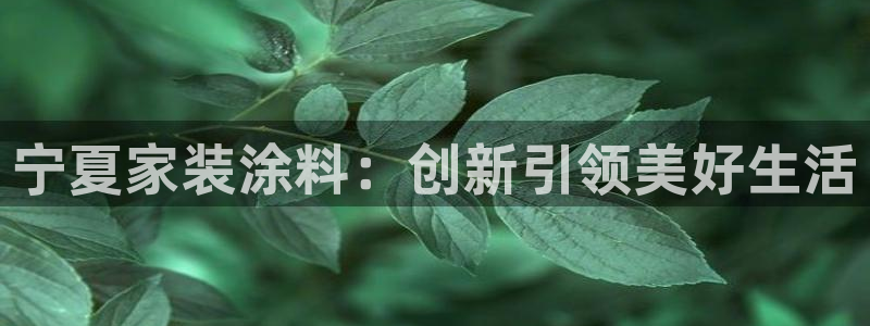 和记官方网址：宁夏家装涂料：创新引领美好生活