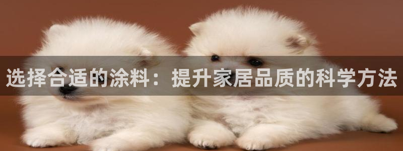 和记(福建)商贸有限公司招聘：选择合适的涂料：提升家居品质的科学方法