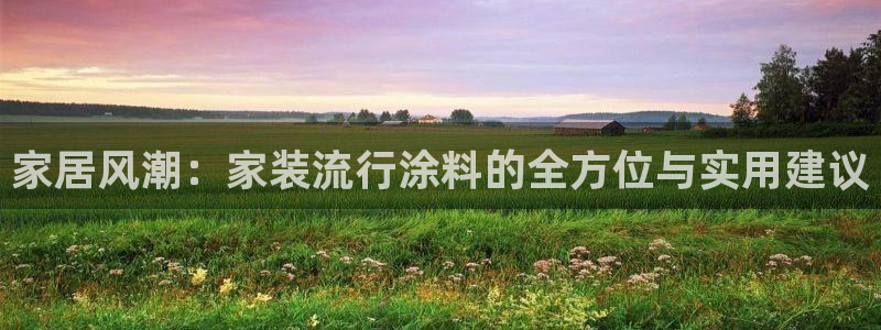 和记pc：家居风潮：家装流行涂料的全方位与实用建议