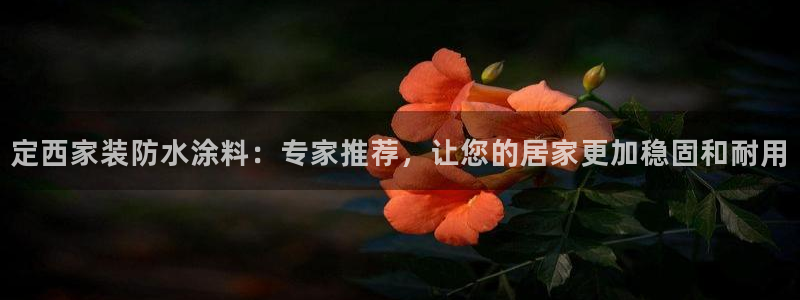 和记ag网页版：定西家装防水涂料：专家推荐，让您的居家更加稳固和耐用