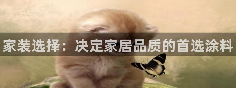 和记国际客服：家装选择：决定家居品质的首选涂料