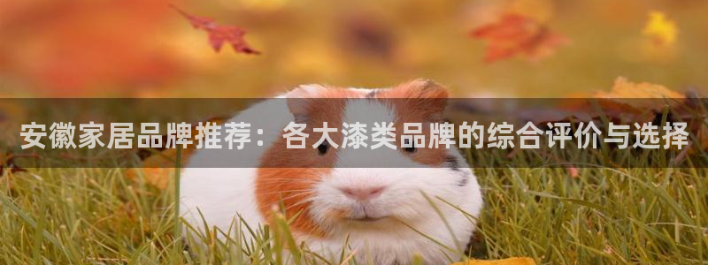 和记官方直营注册