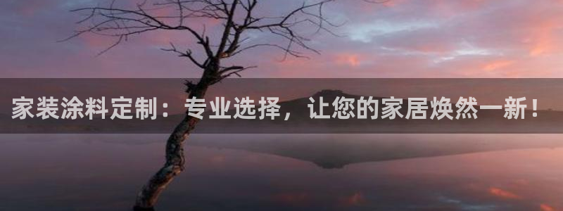 和记国际客服：家装涂料定制：专业选择，让您的家居焕然一新！