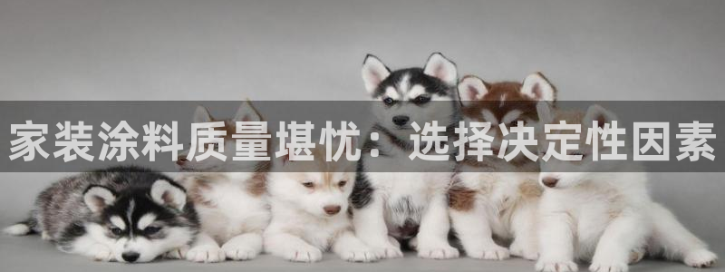 和记ag登录