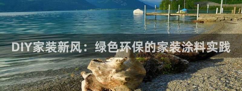 和记电业集团：DIY家装新风：绿色环保的家装涂料实践
