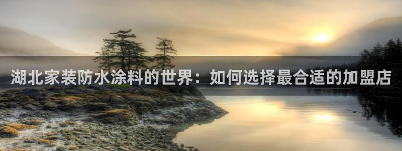 和记ag