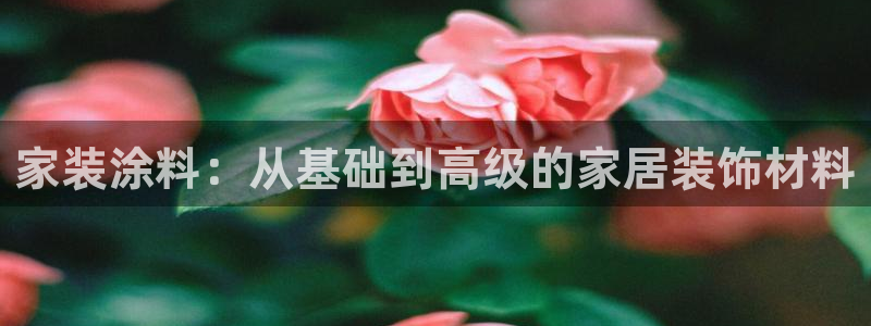 和记Ag：家装涂料：从基础到高级的家居装饰材料