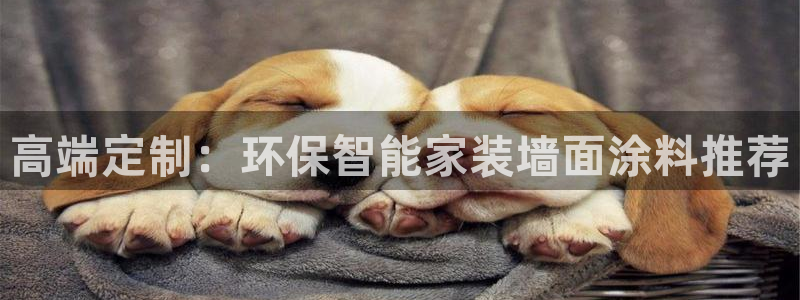和记官方网站