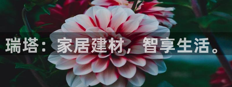 和记官方：瑞塔：家居建材，智享生活。