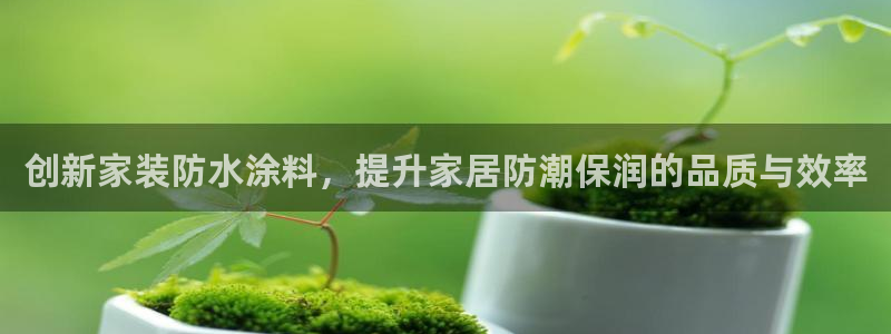 和记国际听：创新家装防水涂料，提升家居防潮保润的品质与效率