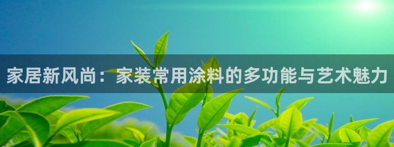 和记国际：家居新风尚：家装常用涂料的多功能与艺术魅力