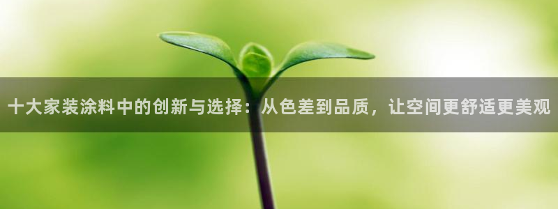 ag和记app：十大家装涂料中的创新与选择：从色差到品质，让空间更舒适更美观