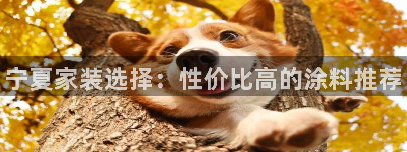 和记平台官方网：宁夏家装选择：性价比高的涂料推荐