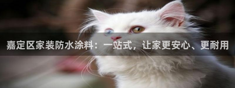 和记广告女主角：嘉定区家装防水涂料：一站式，让家更安心、更耐用