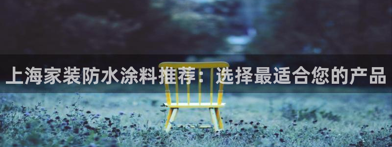 深圳和记科技有限公司：上海家装防水涂料推荐：选择最适合您的产