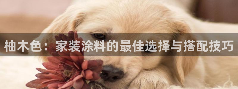 和记平台登陆：柚木色：家装涂料的最佳选择与搭配技巧