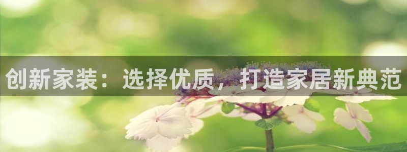 和记国际官网官网