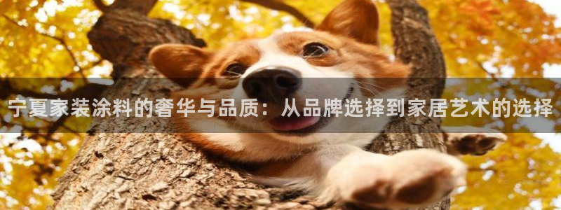 和记AG旗舰：宁夏家装涂料的奢华与品质：从品牌选择到家居艺术