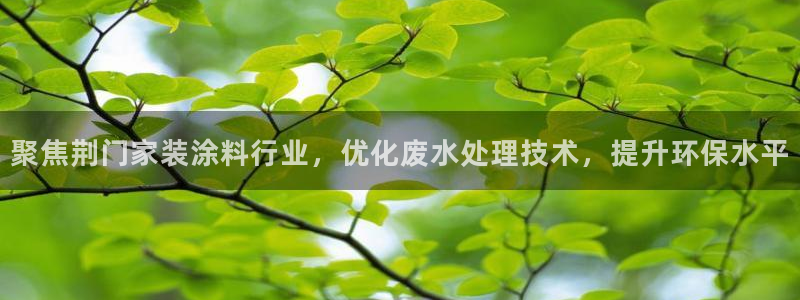 和记AG旗舰：聚焦荆门家装涂料行业，优化废水处理技术，提升环