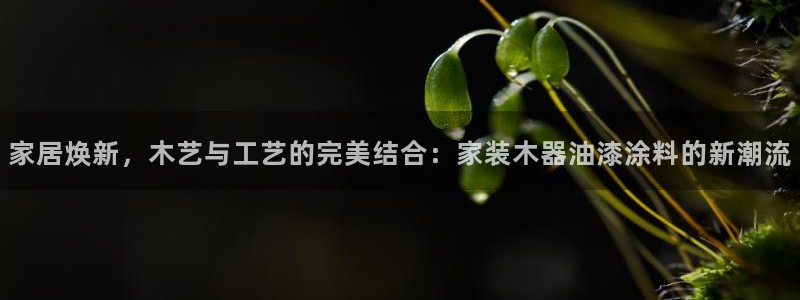 和记国际开户：家居焕新，木艺与工艺的完美结合：家装木器油漆涂料的新潮流