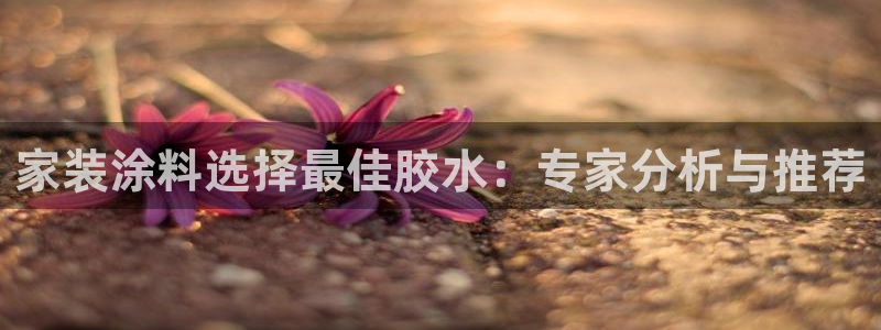 江苏和记餐饮有限公司：家装涂料选择最佳胶水：专家分析与推荐