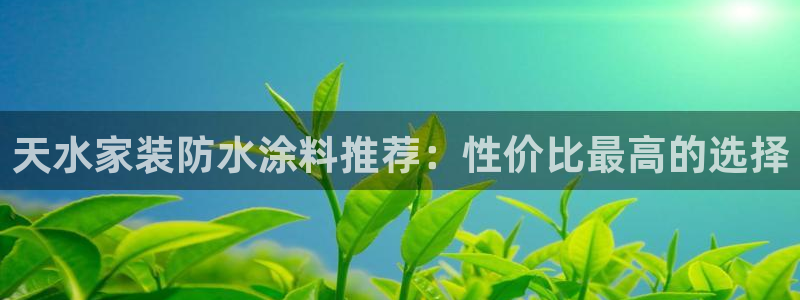 和记平台下载：天水家装防水涂料推荐：性价比最高的选择
