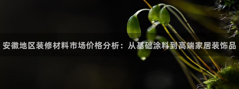 和记ag旗舰：安徽地区装修材料市场价格分析：从基础涂料到高端家居装饰品