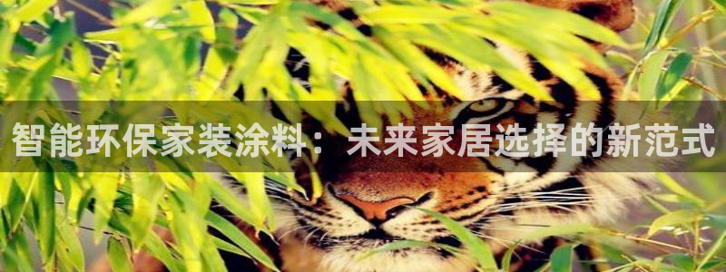 和记国际