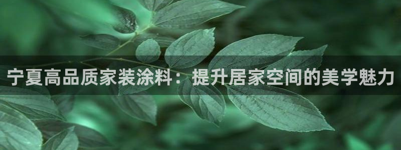 和记下载：宁夏高品质家装涂料：提升居家空间的美学魅力