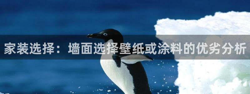 和记国际听：家装选择：墙面选择壁纸或涂料的优劣分析