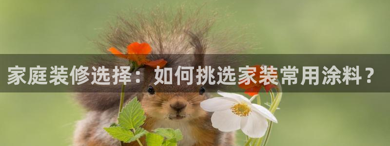 和记(福建)商贸有限公司：家庭装修选择：如何挑选家装常用涂料？