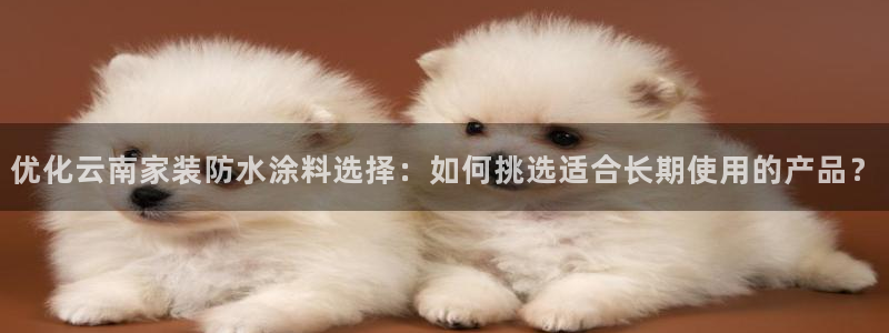 和记下载：优化云南家装防水涂料选择：如何挑选适合长期使用的产