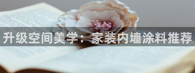 和记电业集团：升级空间美学：家装内墙涂料推荐