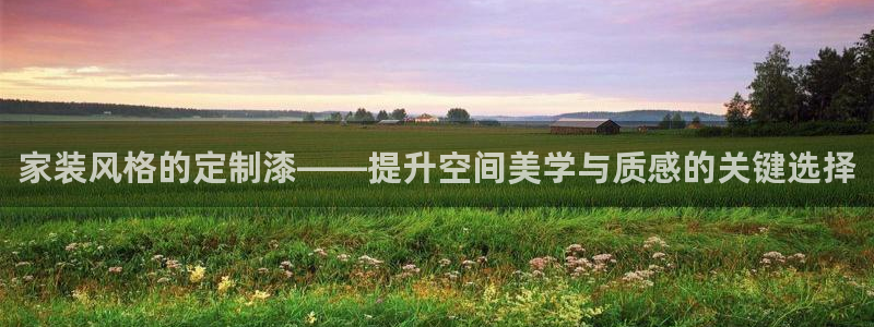 和记2017app：家装风格的定制漆——提升空间美学与质感的