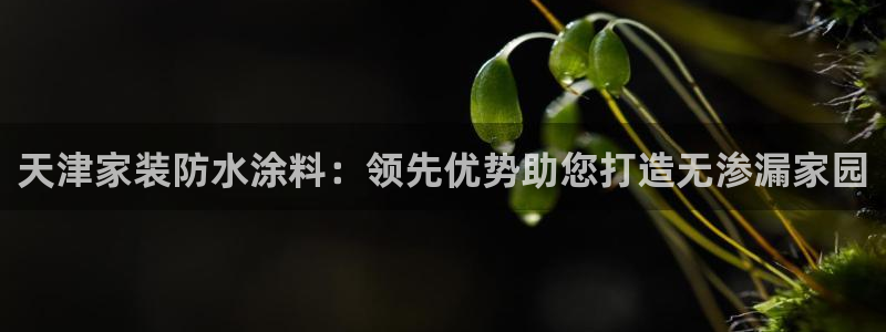 和记平台登陆：天津家装防水涂料：领先优势助您打造无渗漏家园