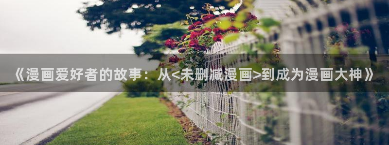 再漫画：《漫画爱好者的故事：从<未删减漫画>到成为漫画大神》
